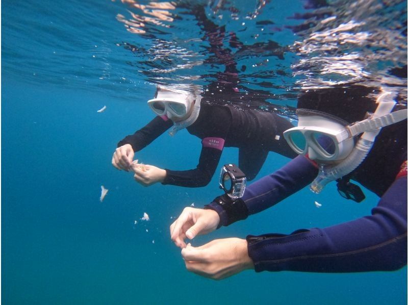 ONE MILE のギャラリー