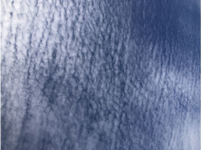 宮古マリン のギャラリー