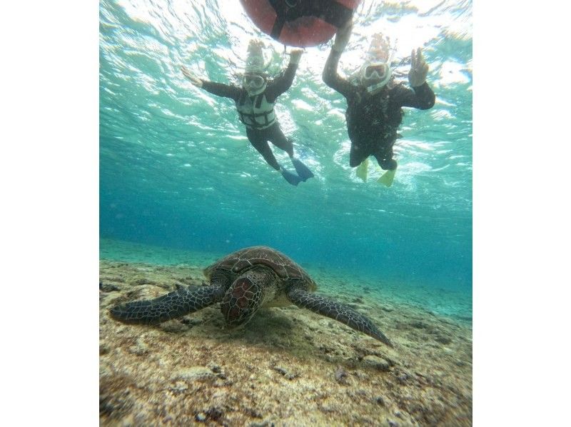 OCEAN LIFE のギャラリー