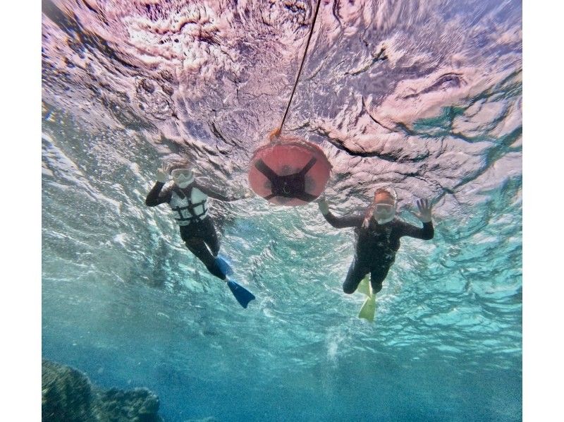 OCEAN LIFE のギャラリー