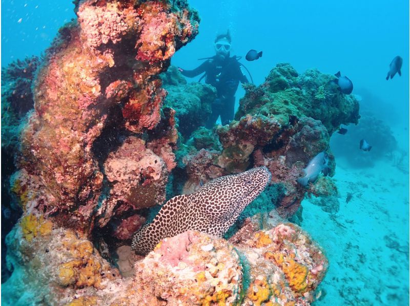 S2CLUB石垣島 のギャラリー