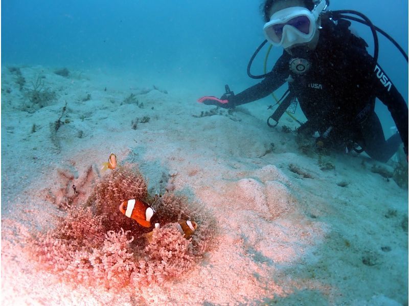 S2CLUB石垣島 のギャラリー