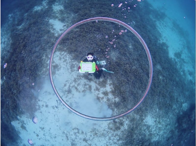 S2CLUB石垣島 のギャラリー