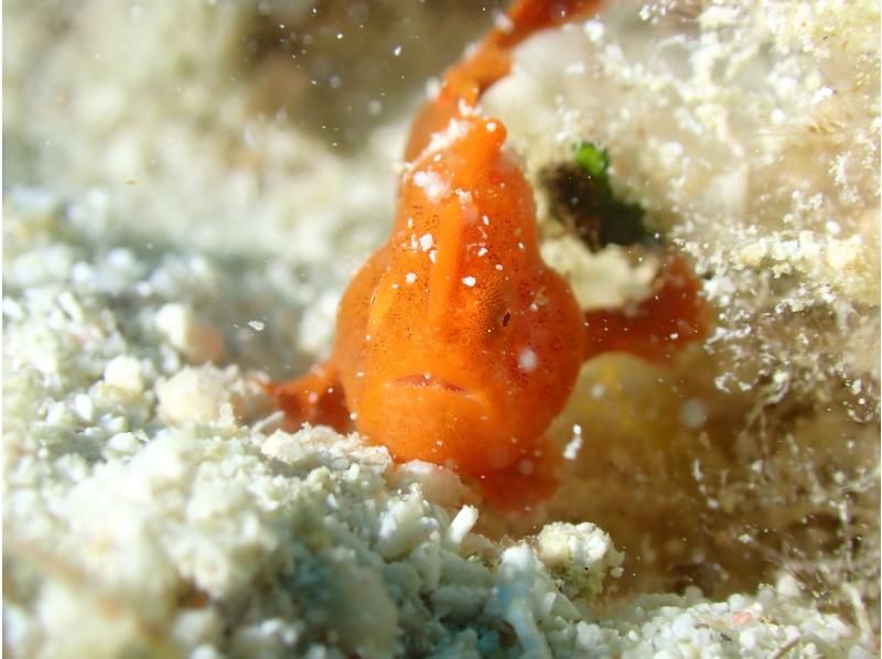 S2CLUB石垣島 のギャラリー