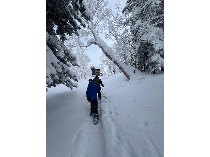 富良野-Greenjourney- のギャラリー