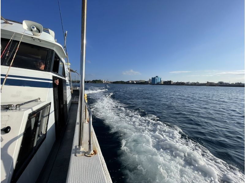 沖縄海うさぎ・海あしび のギャラリー