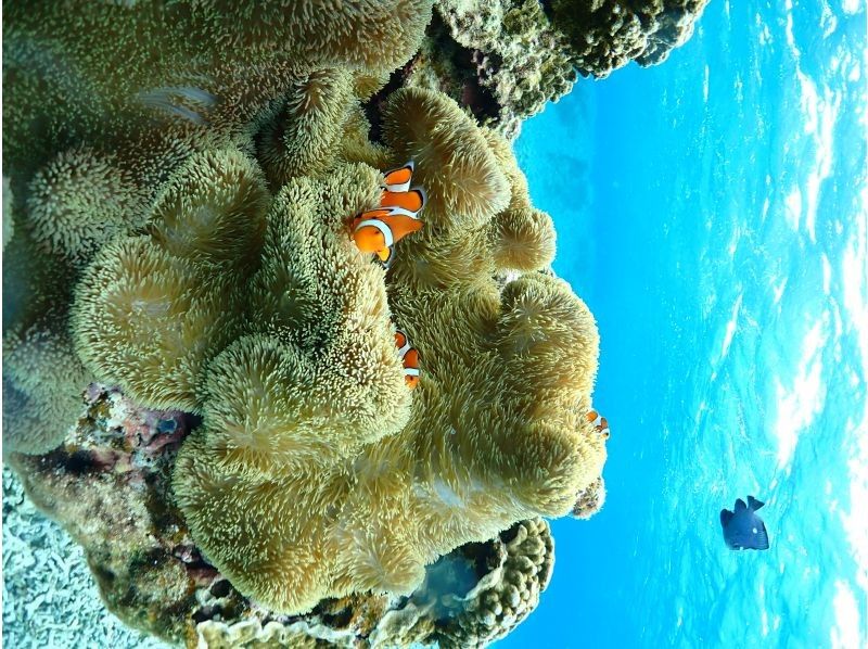 Nami宮古島 のギャラリー