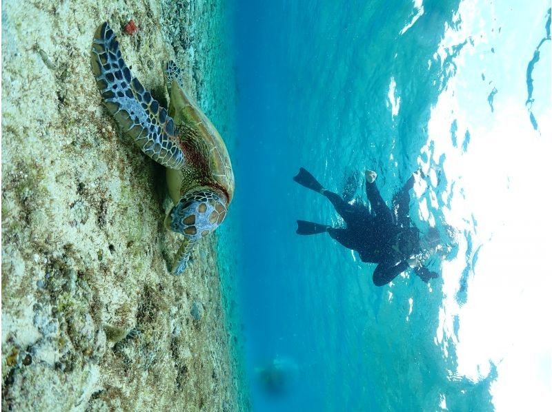 Nami宮古島 のギャラリー