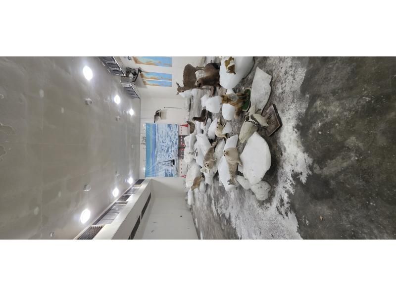 稚内日の丸交通株式会社 のギャラリー