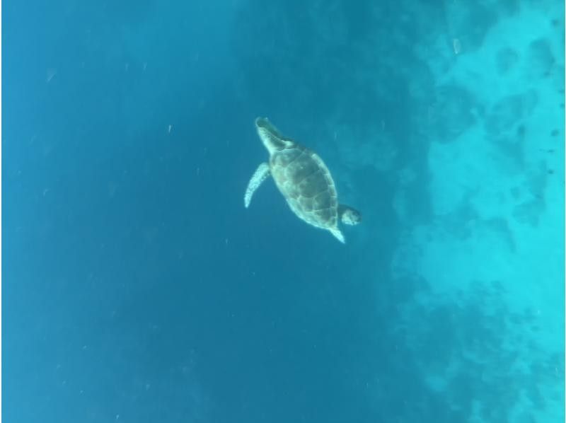 カイザーマリンクラブ(KAIZAR MARINE CLUB) のギャラリー