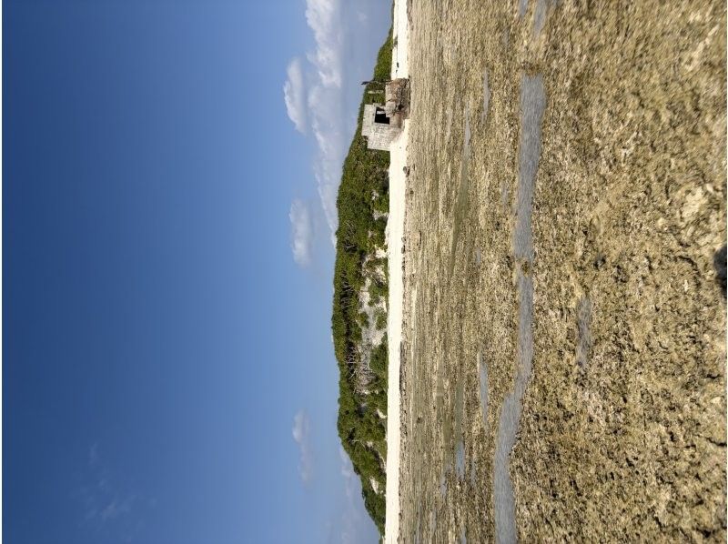 カイザーマリンクラブ(KAIZAR MARINE CLUB) のギャラリー