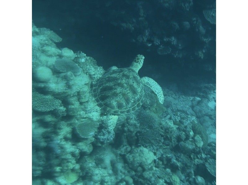 カイザーマリンクラブ(KAIZAR MARINE CLUB) のギャラリー