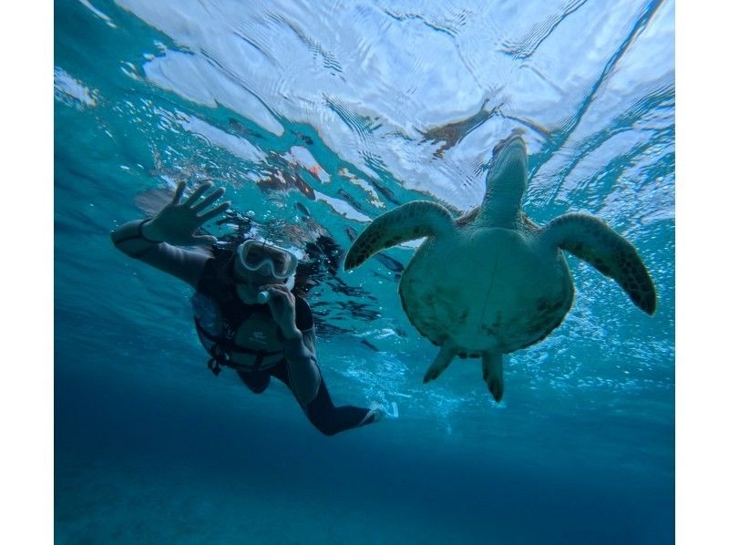 宮古島マリン SUGAR3 のギャラリー