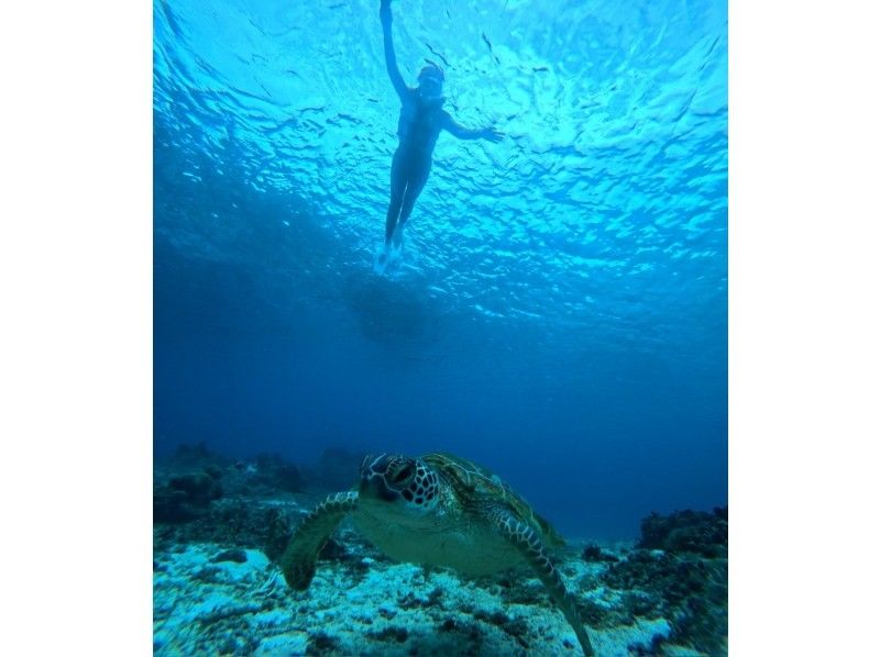 宮古島マリン SUGAR3 のギャラリー