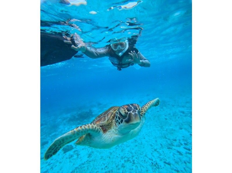 宮古島マリン SUGAR3 のギャラリー