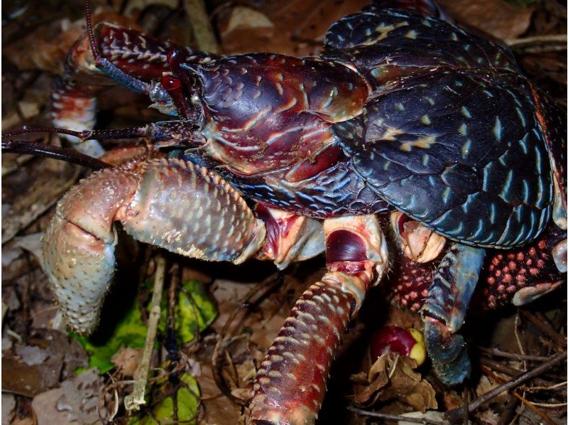 宮古島マリンショップSmiley のギャラリー