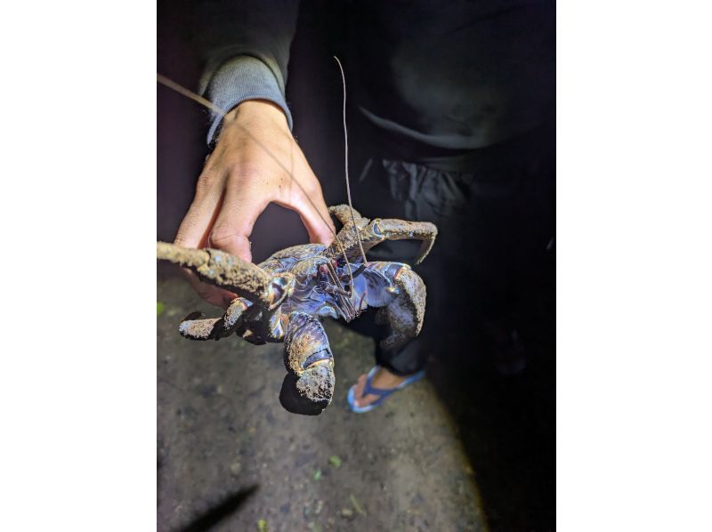 宮古島マリンショップSmiley のギャラリー