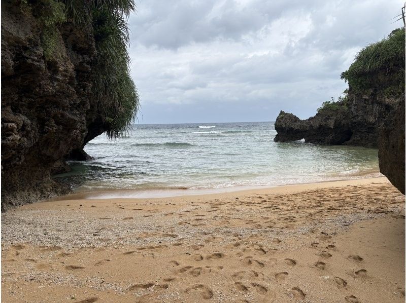 石垣島ツアーガイドAll Blue(オールブルー) のギャラリー