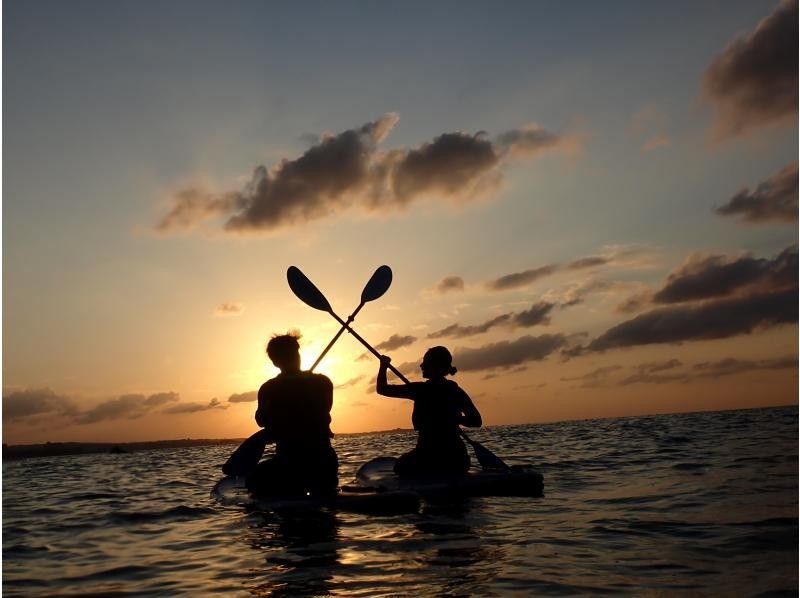 冒険島 のギャラリー