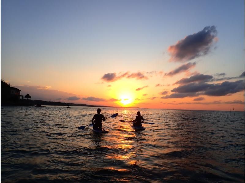 冒険島 のギャラリー