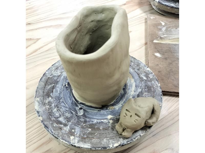 楢岡陶苑 のギャラリー