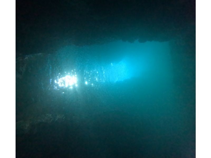 武藤潜水 のギャラリー