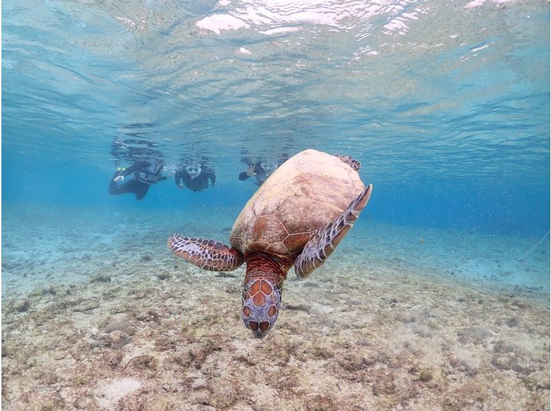 宮古島マリンショップSmiley のギャラリー