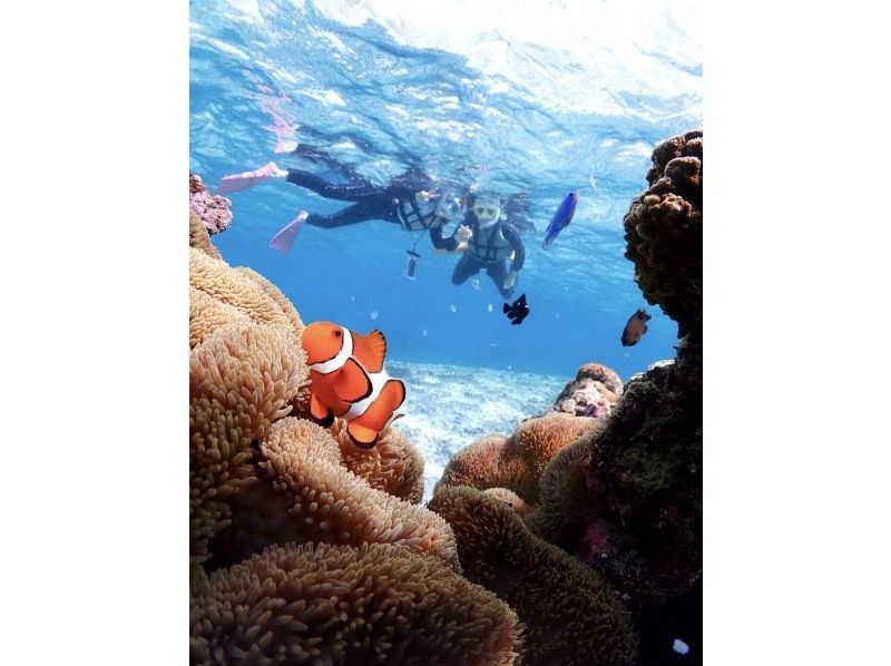 宮古島マリンショップSmiley のギャラリー