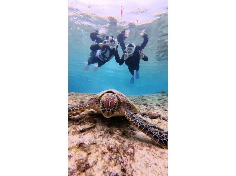 nico 宮古島 のギャラリー