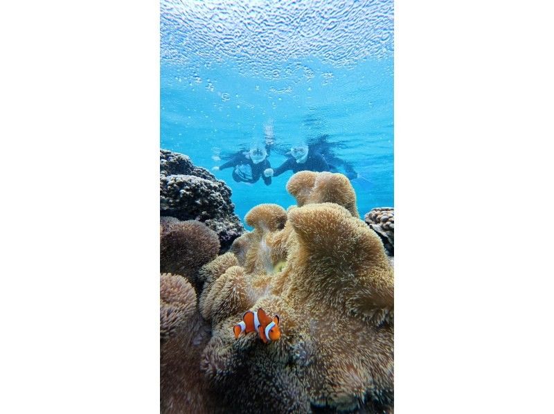 nico 宮古島 のギャラリー