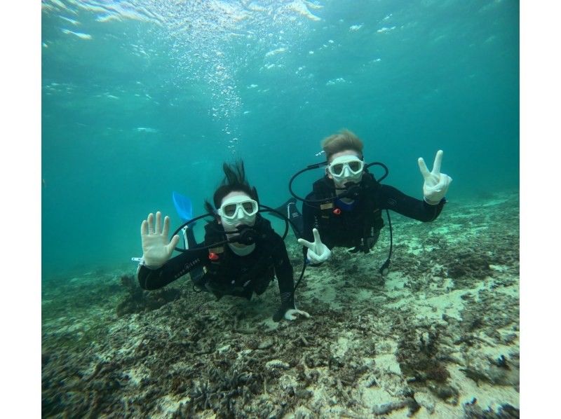 Diving Shop Lei のギャラリー