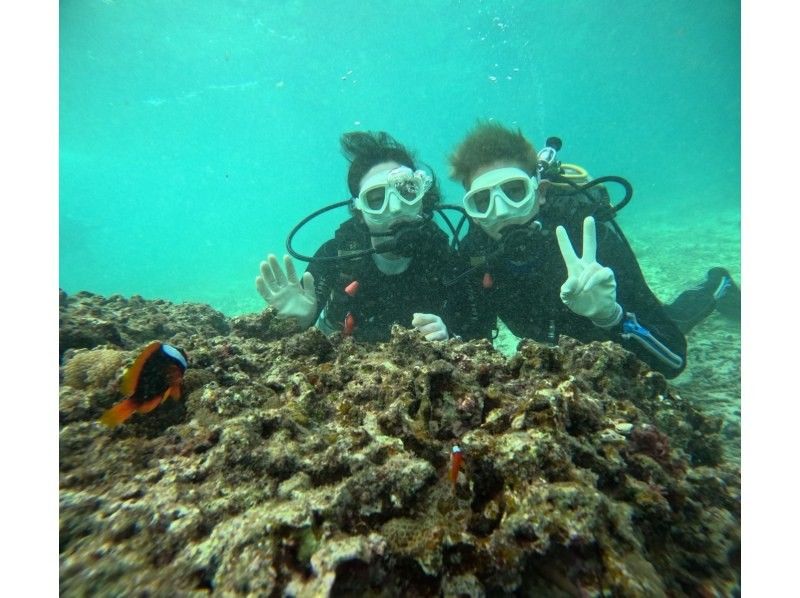 Diving Shop Lei のギャラリー