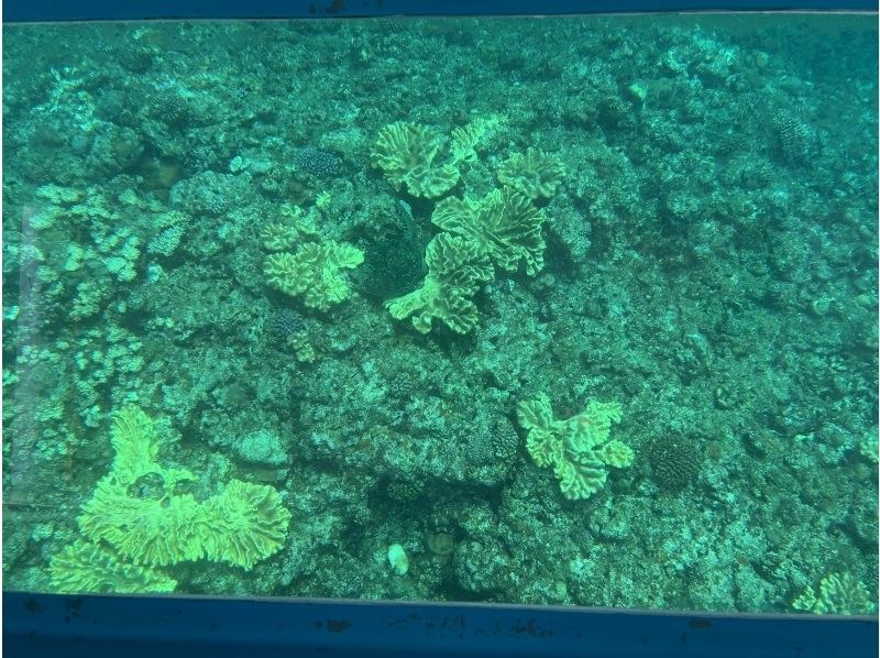 OCEANS/新原海底観光センター のギャラリー