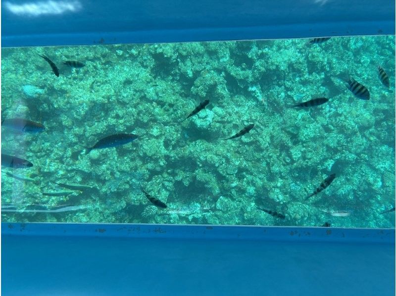 OCEANS/新原海底観光センター のギャラリー