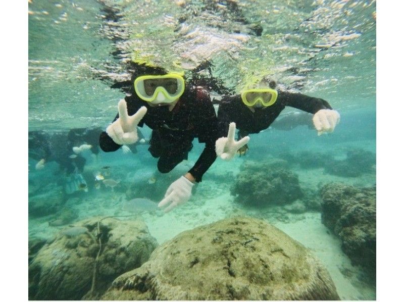 沖縄ダイビングショップシーモール のギャラリー