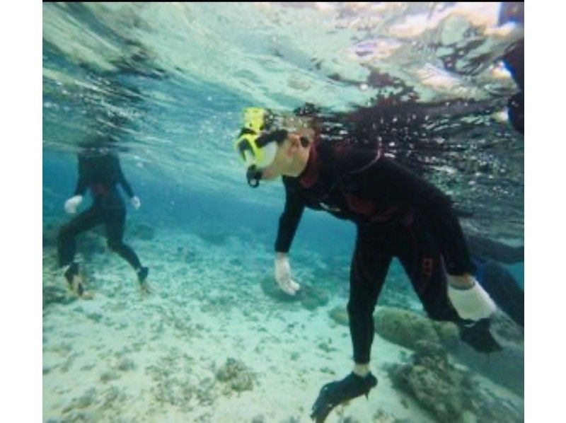 沖縄ダイビングショップシーモール のギャラリー