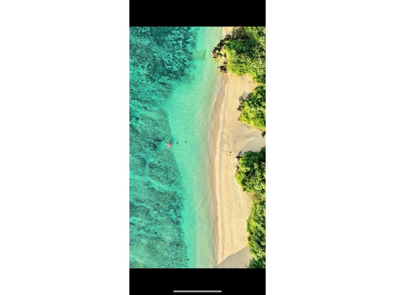 NATURE SHOP PAO のギャラリー