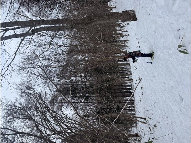 n.s ride のギャラリー