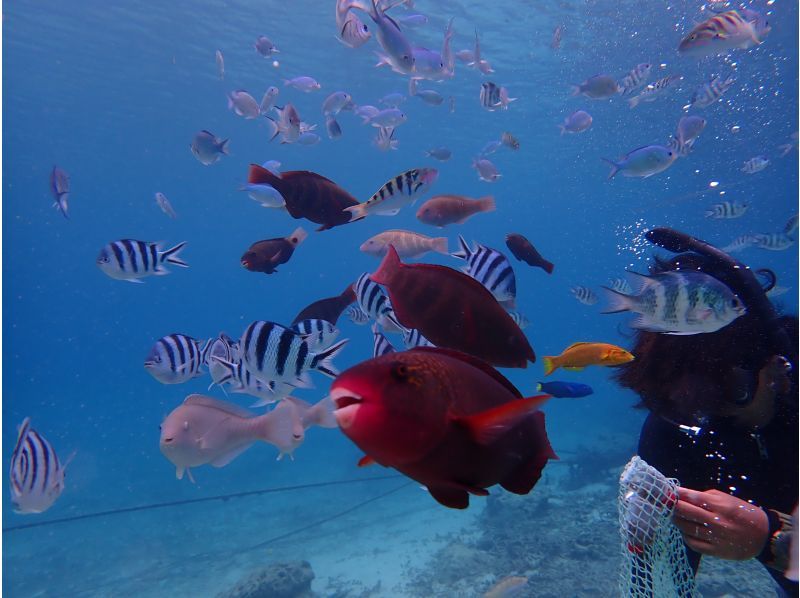 合同会社M&lsquo;zOcean のギャラリー