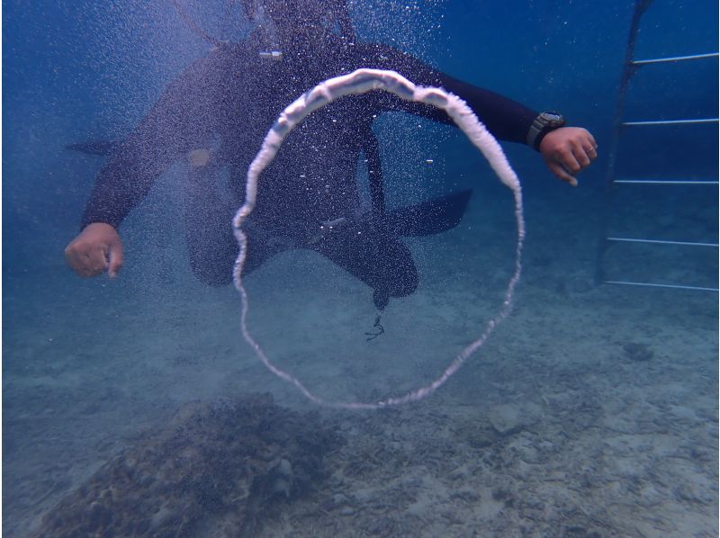 合同会社M&lsquo;zOcean のギャラリー