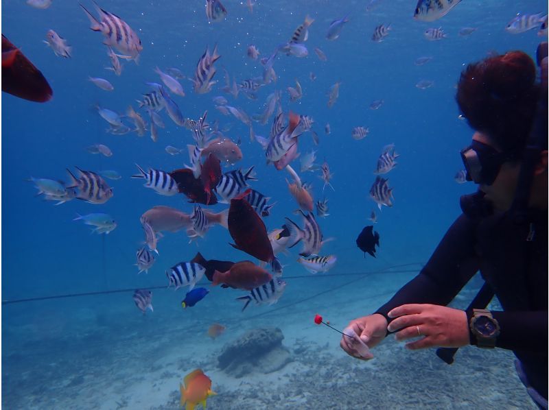 合同会社M&lsquo;zOcean のギャラリー