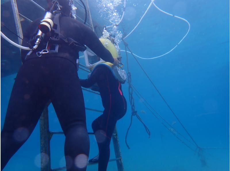 合同会社M&lsquo;zOcean のギャラリー