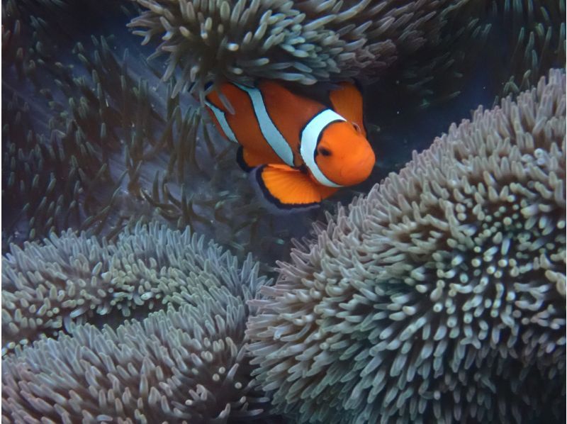 合同会社M&lsquo;zOcean のギャラリー