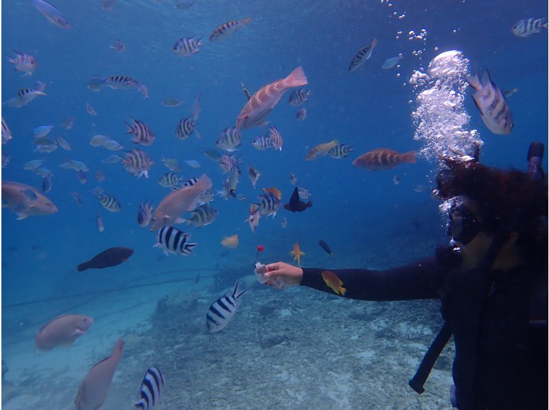 合同会社M&lsquo;zOcean のギャラリー