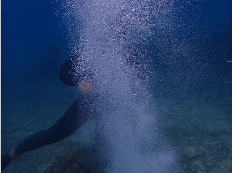 合同会社M&lsquo;zOcean のギャラリー