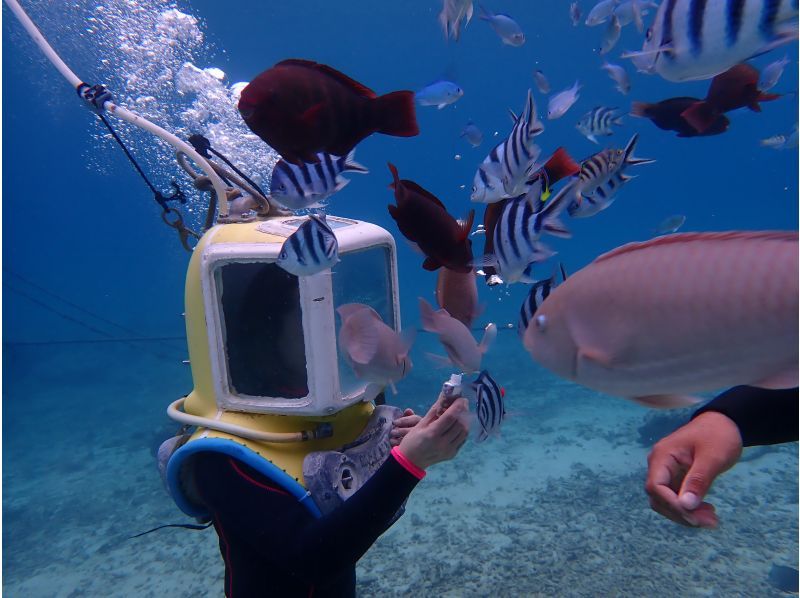 合同会社M&lsquo;zOcean のギャラリー