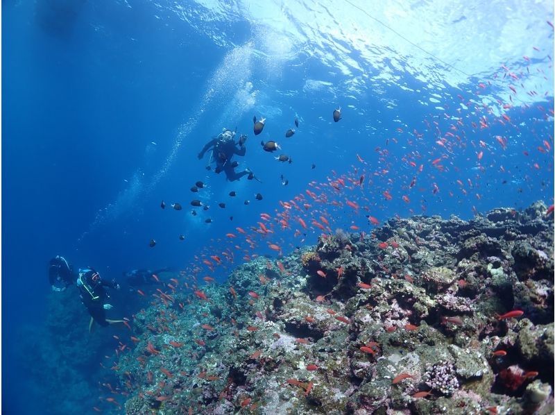 S2CLUB石垣島 のギャラリー