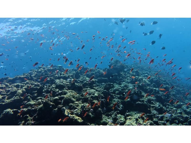 S2CLUB石垣島 のギャラリー