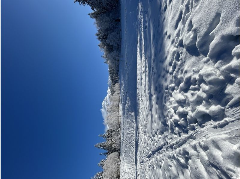 富良野-Greenjourney- のギャラリー