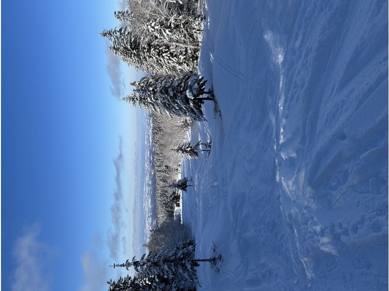 富良野-Greenjourney- のギャラリー